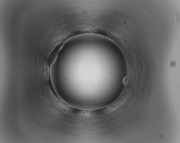 X0000097840624200803141209