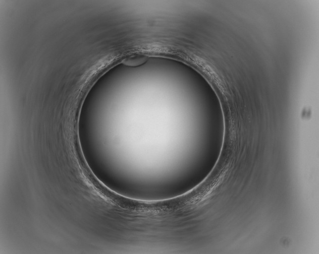 X0000097840625200803141208