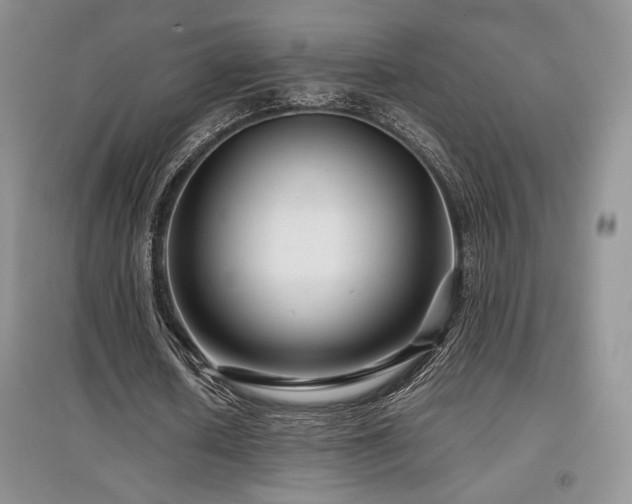 X0000097840626200803141208