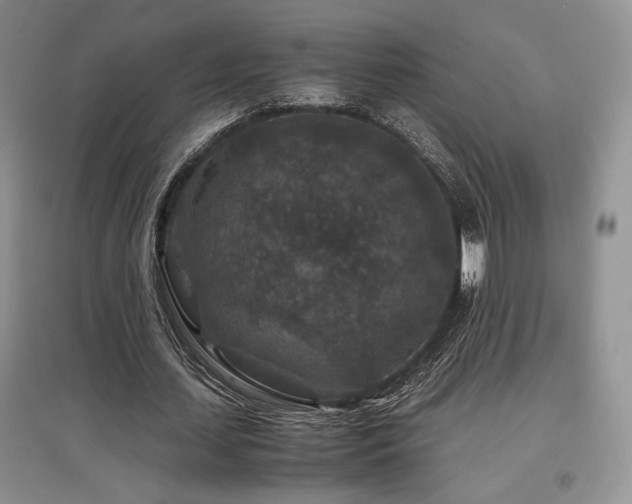 X0000097840627200803141208