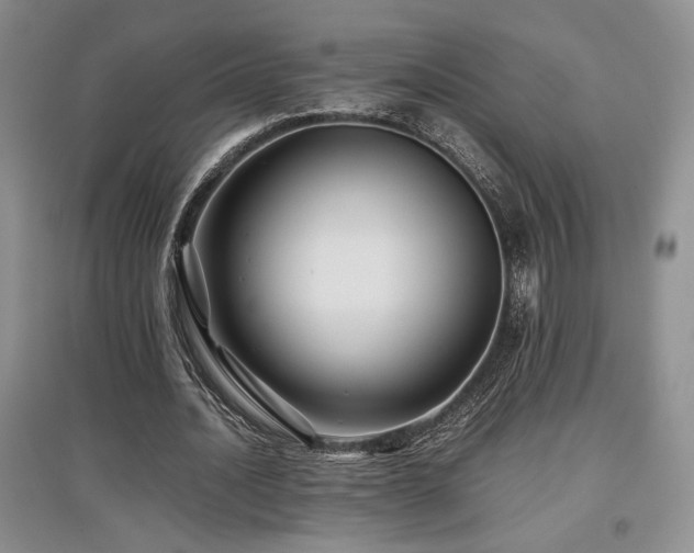 X0000097840628200803141208