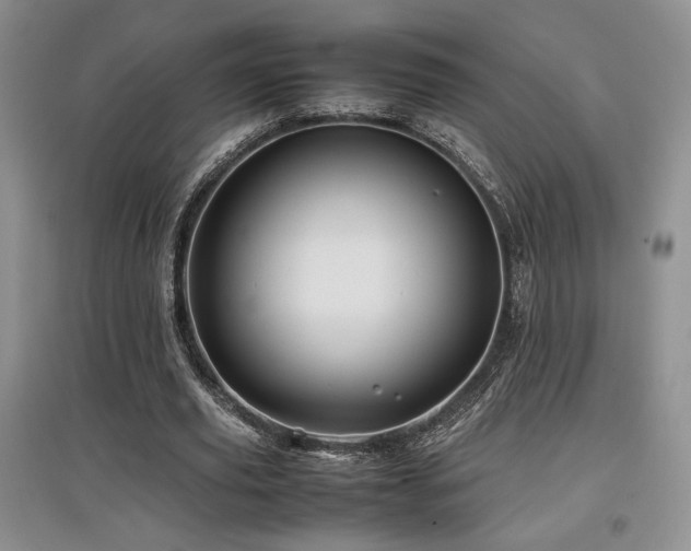 X0000097840629200803141208