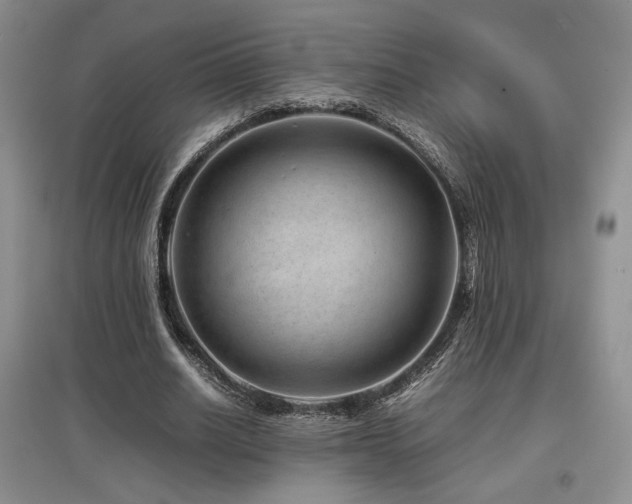 X0000097840630200803141208