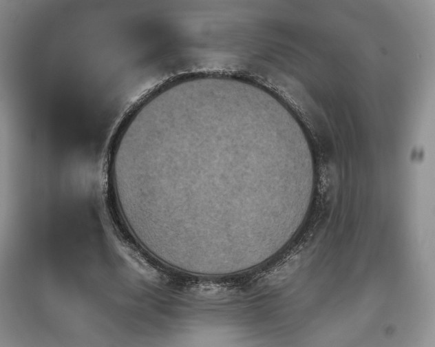 X0000097840632200803141208
