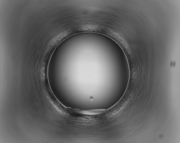 X0000097840633200803141208