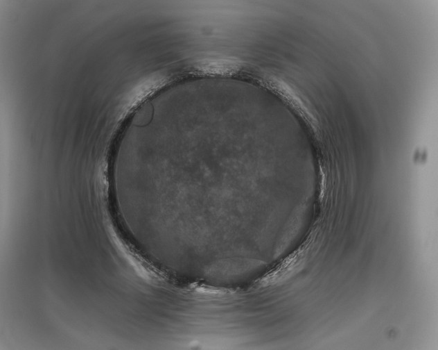 X0000097840634200803141209