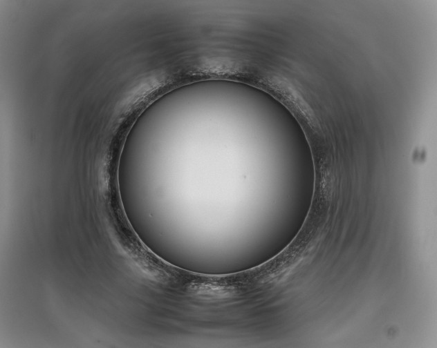 X0000097840635200803141209