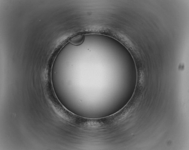 X0000097840636200803141209