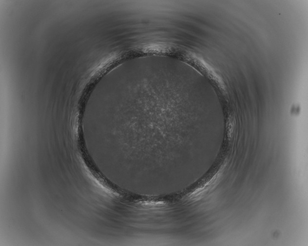 X0000097840637200803141209