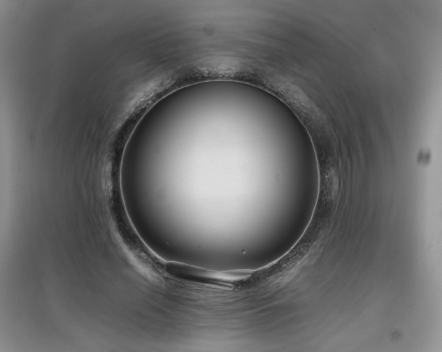 X0000097840638200803141209