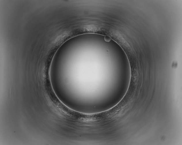 X0000097840639200803141209