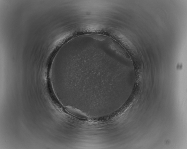 X0000097840640200803141209