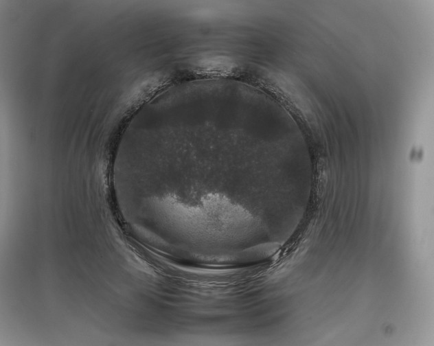 X0000097840641200803141209