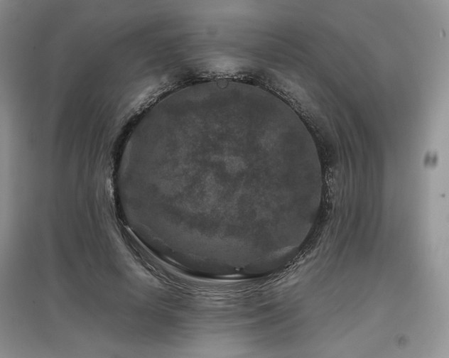 X0000097840642200803141209
