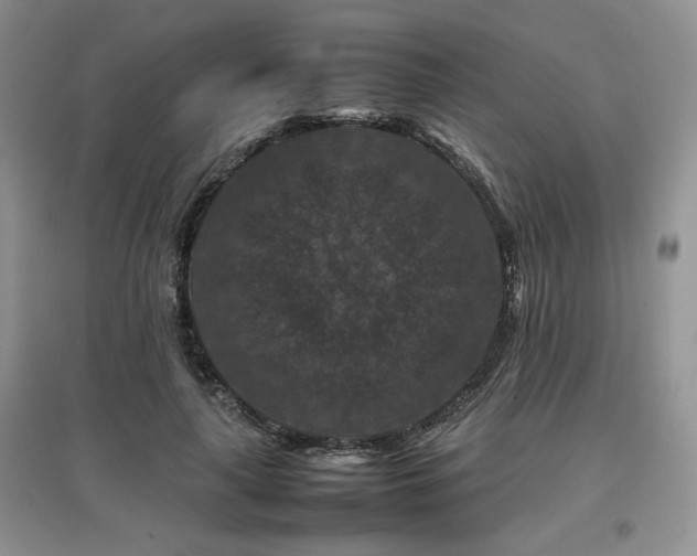 X0000097840643200803141209
