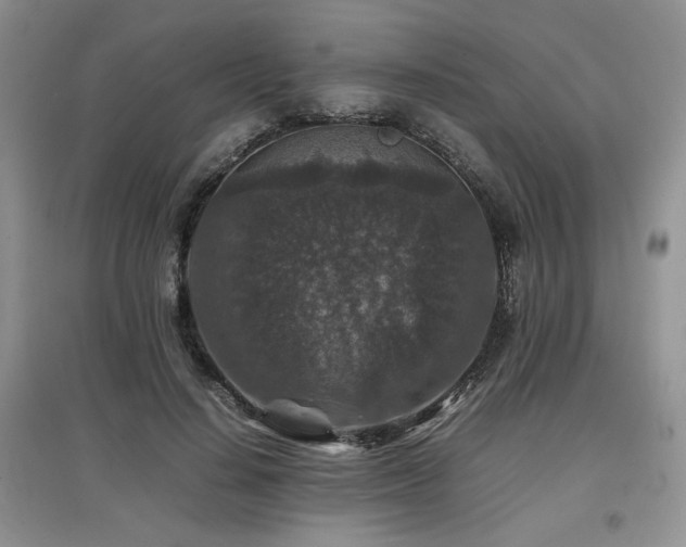 X0000097840644200803141209