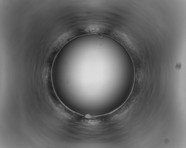 X0000097840645200803141209