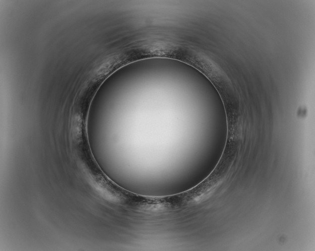 X0000097840646200803141209
