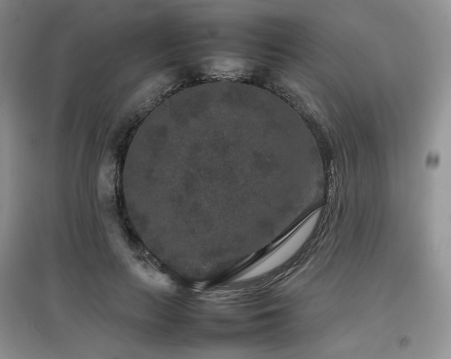X0000097840647200803141209