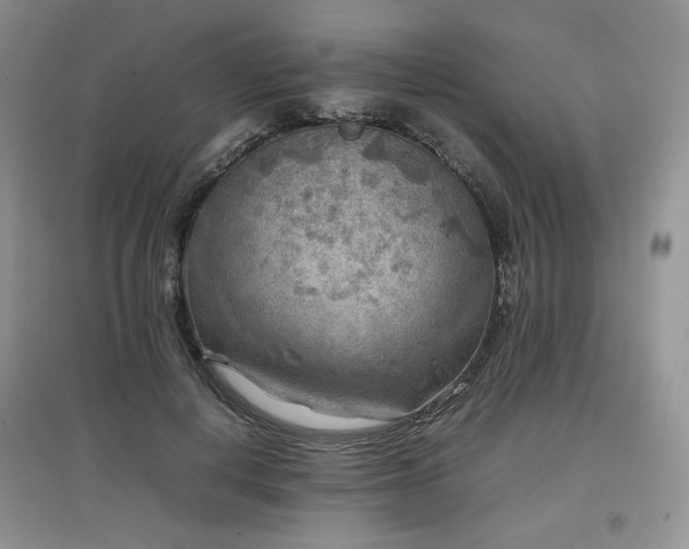 X0000097840648200803141209