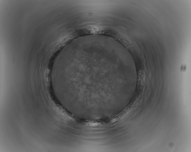 X0000097840650200803141209