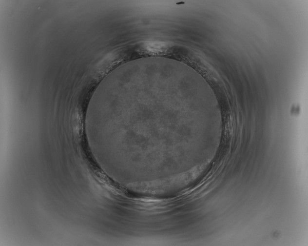 X0000097840651200803141209