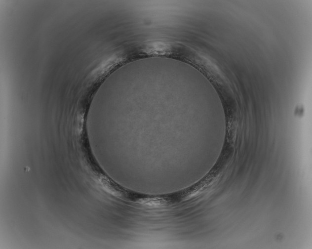 X0000097840652200803141209