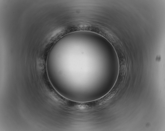 X0000097840654200803141209