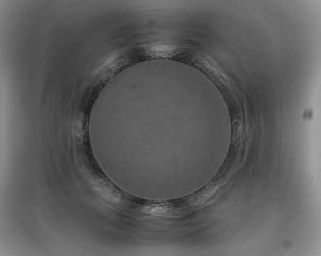 X0000097840655200803141209