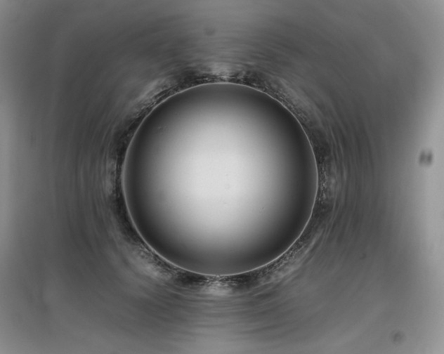 X0000097840656200803141209