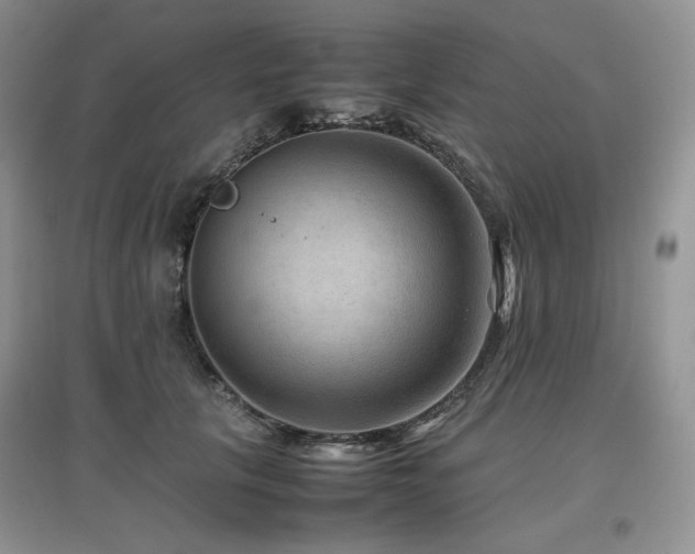 X0000097840657200803141209