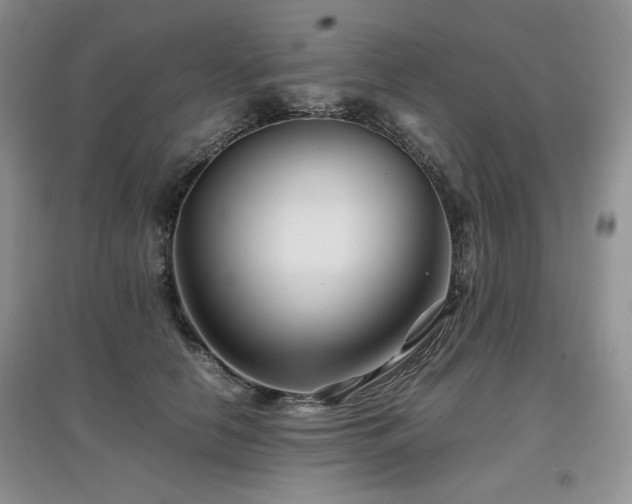 X0000097840658200803141209