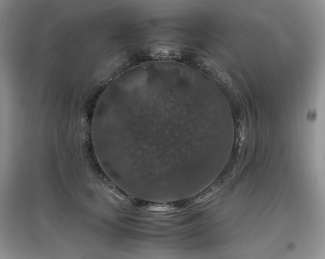 X0000097840659200803141209