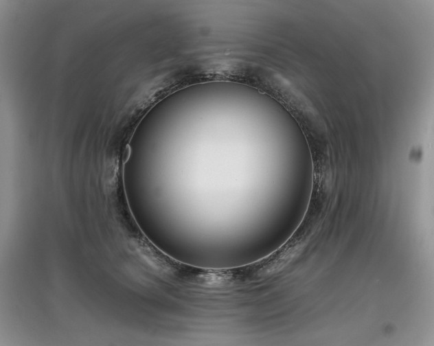 X0000097840660200803141209