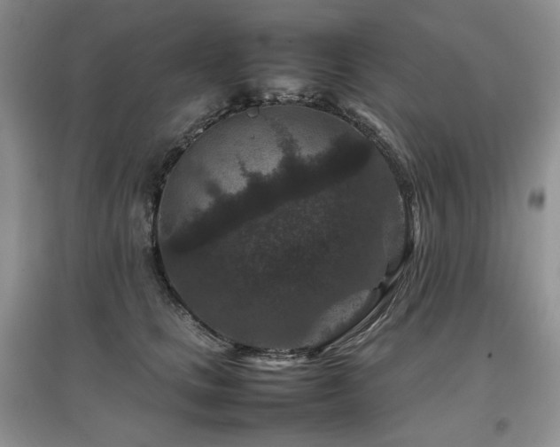 X0000097840661200803141209