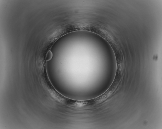 X0000097840662200803141209