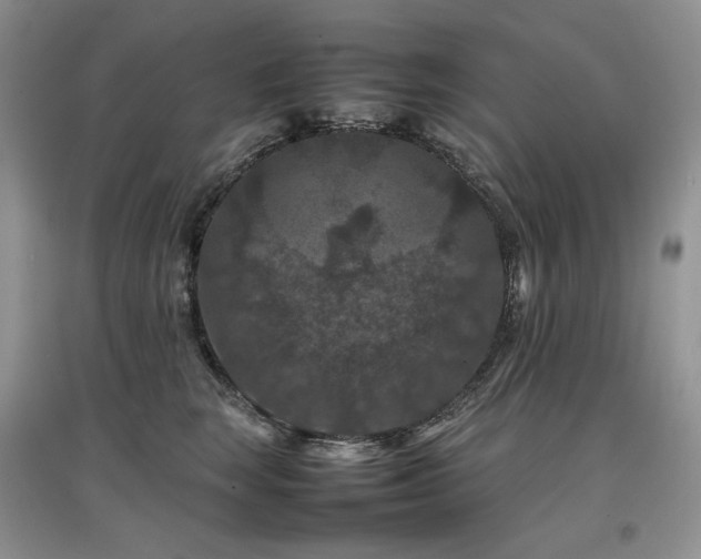 X0000097840663200803141209