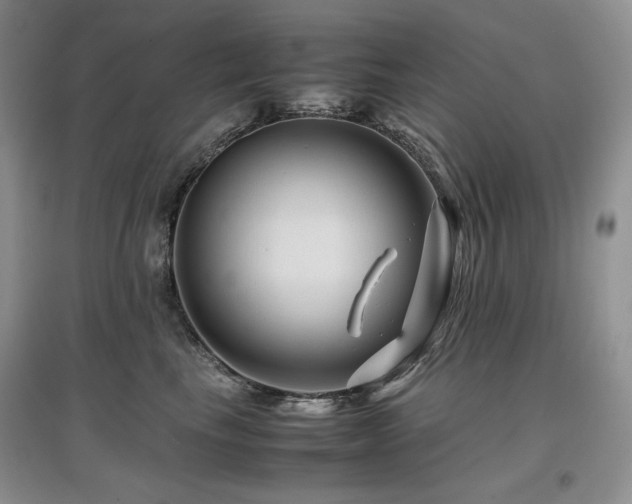 X0000097840665200803141209