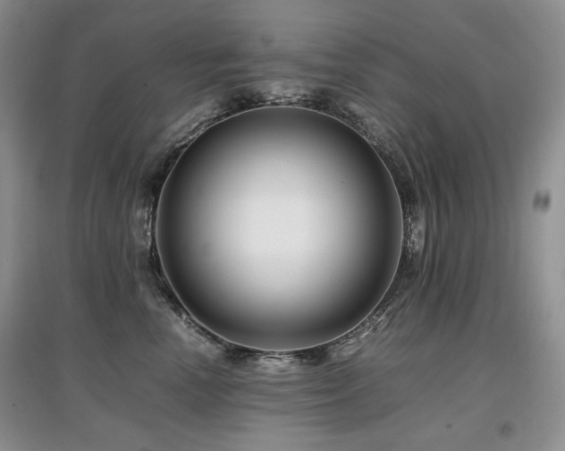 X0000097840666200803141209