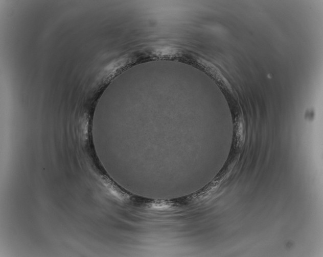 X0000097840668200803141209