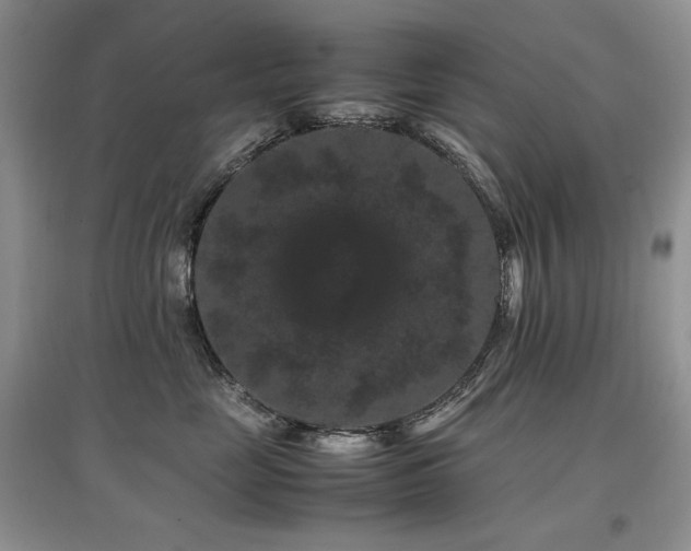 X0000097840669200803141209