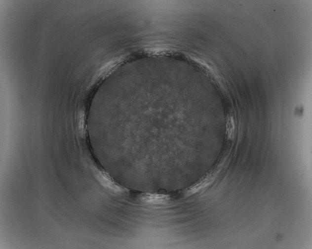 X0000097840670200803141209