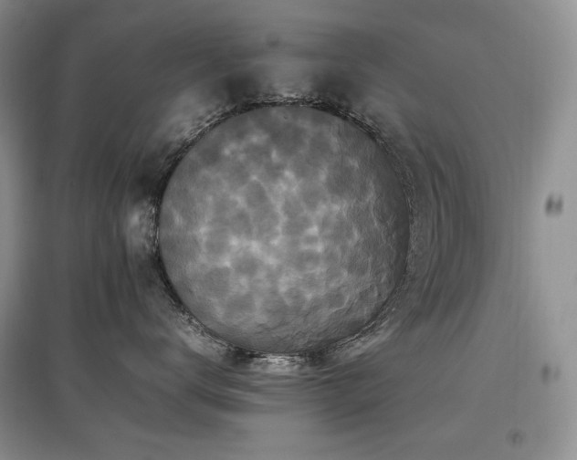 X0000097840672200803141209