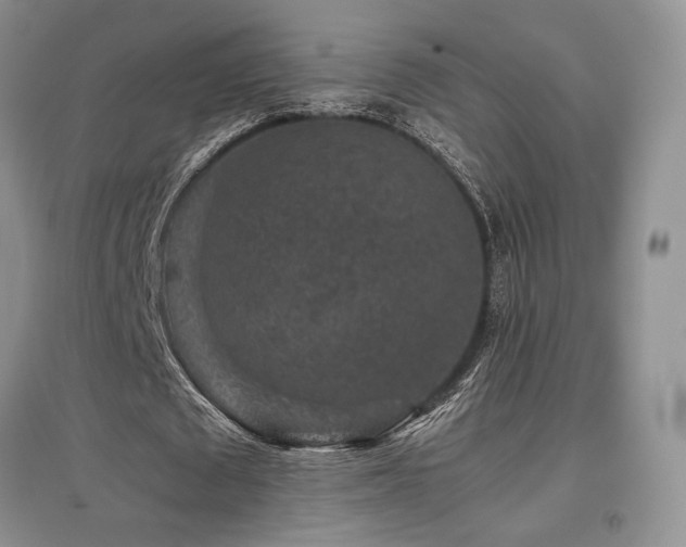 X0000097840673200803141208