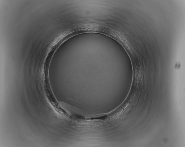 X0000097840674200803141208