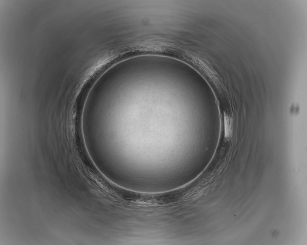 X0000097840675200803141208