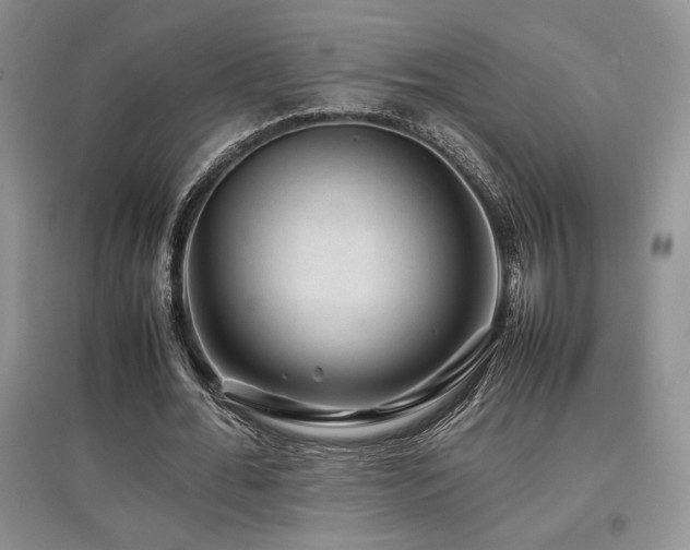 X0000097840676200803141208