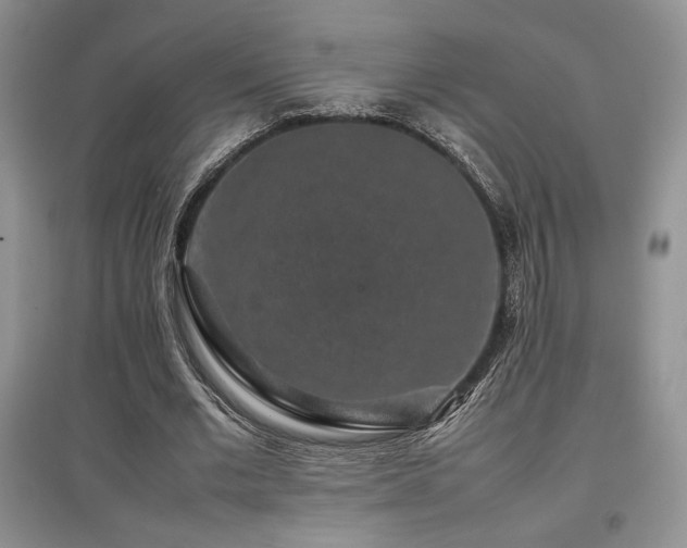 X0000097840677200803141208