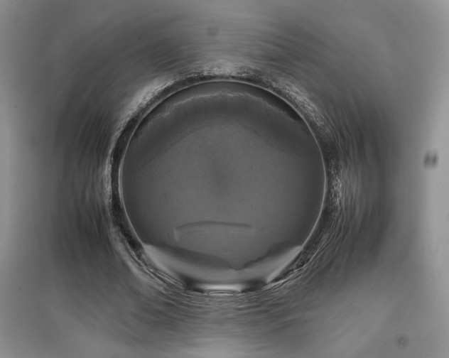 X0000097840678200803141208