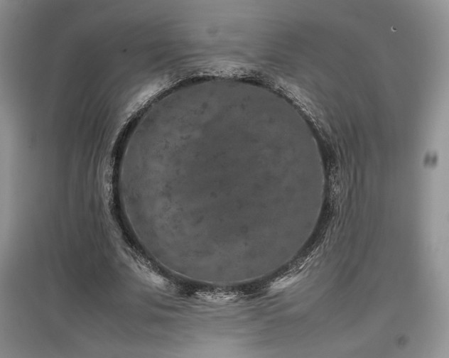 X0000097840679200803141208